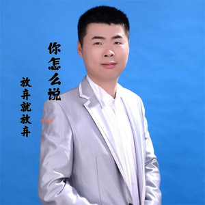 你怎么说放弃就放弃 (Dj默屿版伴奏)