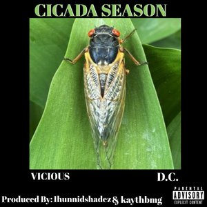 CICADA SEASON (Explicit)