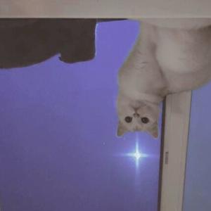 illbebackinthemorning (Explicit)