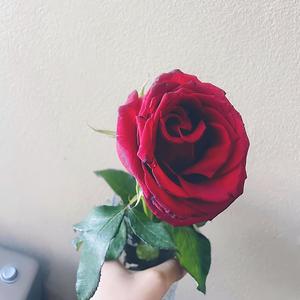 Bueno o Malo ?? (Explicit)