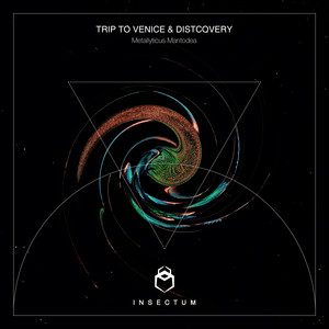 Metallyticus Train (Original Mix)