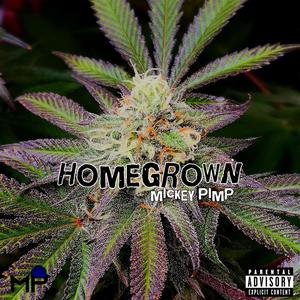 Homegrown (Explicit)