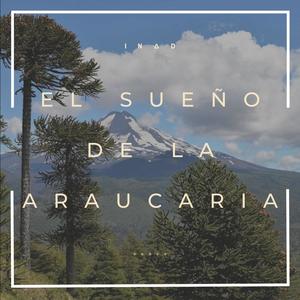 El Sueño De La Araucaria