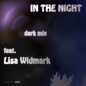 In the Night (feat. Lisa Widmark)