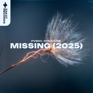 MISSING (2025)
