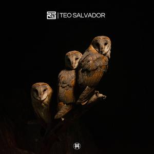 Teo Salvador (Explicit)