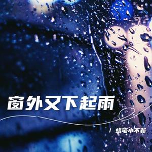 窗外又下起雨