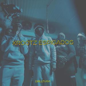 XROOTZ ESPIGADOS (Explicit)