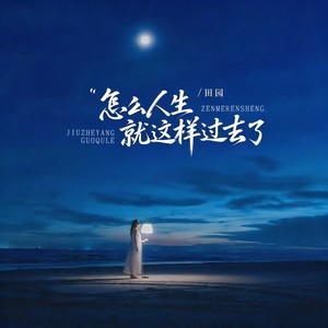 怎么人生就这样过去了