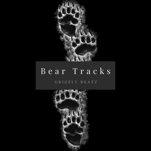 Bear Tracks