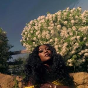 Lies & Butterflies (Explicit)