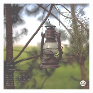 Fly 234 (Original Mix)