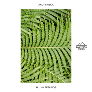 All My Feelings (Extended Version)