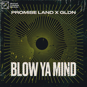 Promise Land - Blow Ya Mind