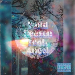 VALID REASON (Explicit)