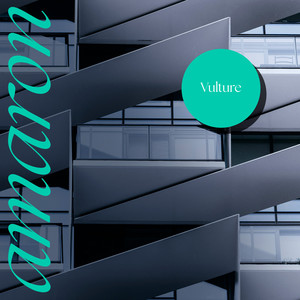 Vulture