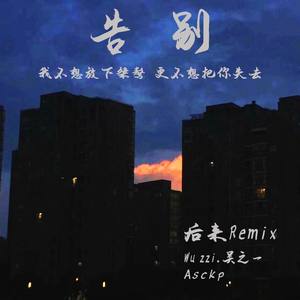 刘若英-后来mix (Wu.zzi remix)