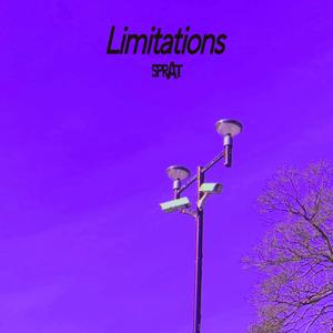 Limitations