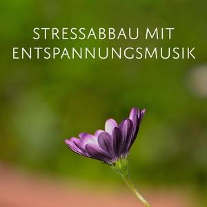 Stressabbau mit Entspannungsmusik (Naturgeräusche nach totaler Entspannung, Muskelentspannung, Autog