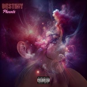 Destiny (Explicit)