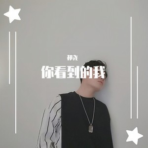 你看到的我 (翻自 黄勇)