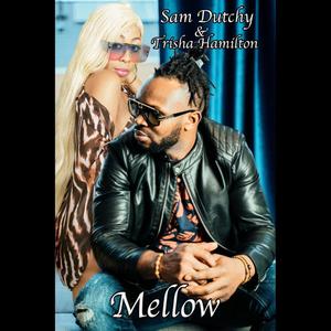 Mellow (feat. Trisha Hamilton)