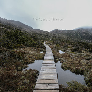 The Sound of Silence