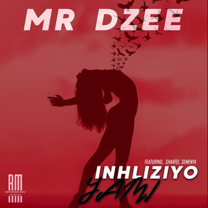 Inhliziyo Yami (Extended Version)