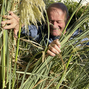 Tall Grass