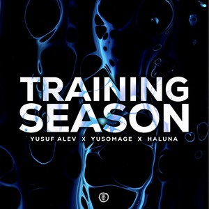 Training Season (Techno Version)
