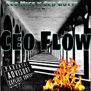 Ceo Flow (Explicit)
