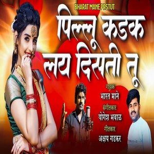 Pillu Kadak Lay Disti Tu