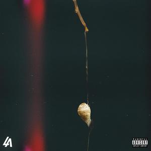 Savage (Jerk Remix|Explicit)