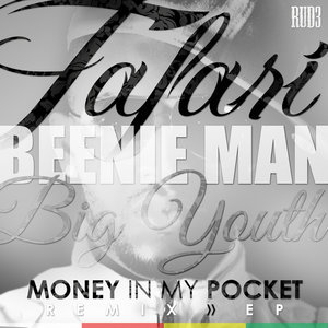 Money In My Pocket (Remix)