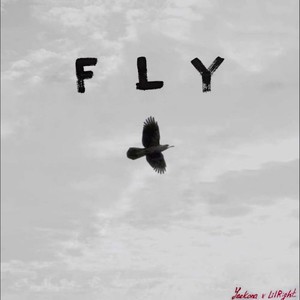 Fly (Explicit)