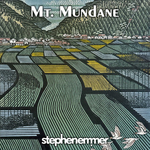 Mirror of Distraction