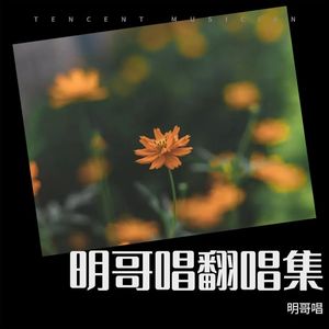 明哥唱 - 她来听我的演唱会