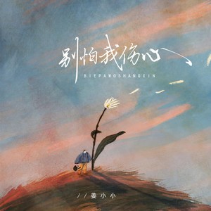 别怕我伤心 (DJ卡点版)封面