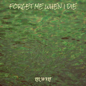 Forget Me When I Die (Explicit)