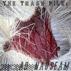 Trash Pile Ad Nauseam (Explicit)