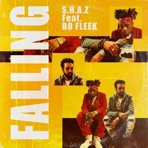 Falling (feat. Bo Fleek)