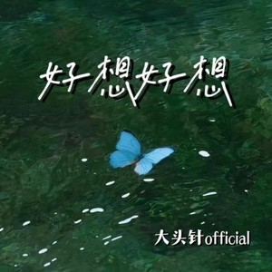 大头针 Official - 好想好想 (伴奏)