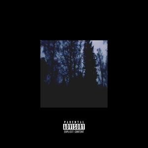 Nejde ti nic(feat. Lil Speck) (Explicit)