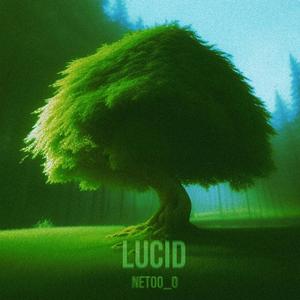 Lucid