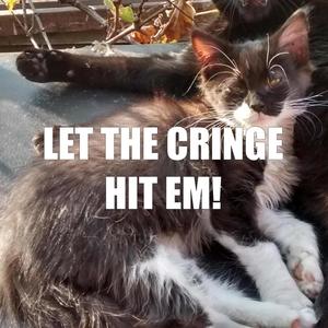 LET THE CRINGE HIT EM!