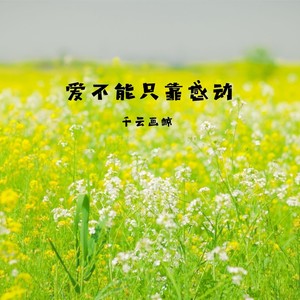 这一次我告别故乡踏上我的流浪