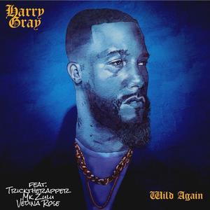 Wild Again(feat. Tricktherapper, Mk Zulu & Vedina Rose)