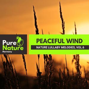 Peaceful Wind - Nature Lullaby Melodies, Vol.6