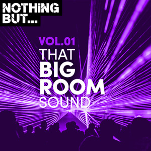 Nothing But... That Big Room Sound, Vol. 01