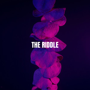 The Riddle